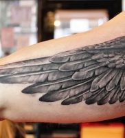 фото тату Крылья от 04.12.2017 №004 — Tattoo Wings — tattoo-photo.ru