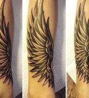 фото тату Крылья от 04.12.2017 №016 — Tattoo Wings — tattoo-photo.ru