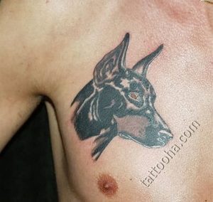 фото тату доберман от 21.11.2017 №021 - Doberman tattoo - tattoo-photo.ru