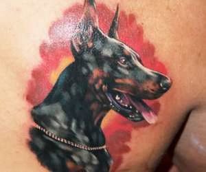 фото тату доберман от 21.11.2017 №040 - Doberman tattoo - tattoo-photo.ru