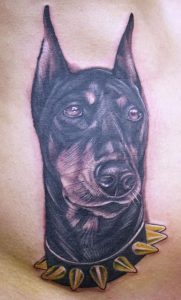 фото тату доберман от 21.11.2017 №064 - Doberman tattoo - tattoo-photo.ru