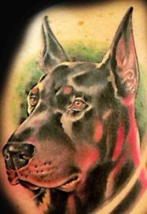 фото тату доберман от 21.11.2017 №085 - Doberman tattoo - tattoo-photo.ru