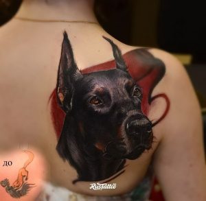 фото тату доберман от 21.11.2017 №099 - Doberman tattoo - tattoo-photo.ru