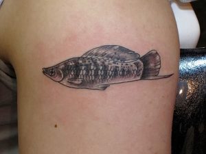 фото тату рыба от 17.11.2017 №130 - fish tattoo - tattoo-photo.ru