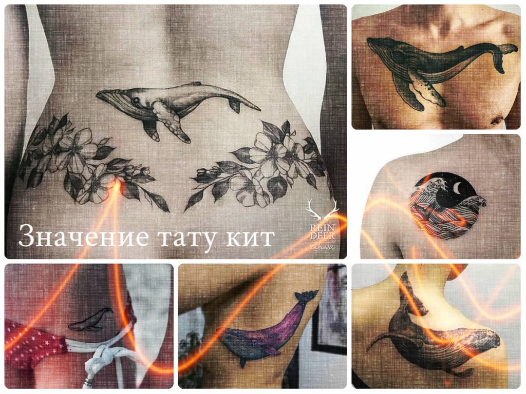 Значение тату кит - фото примеры рисунков на теле человека