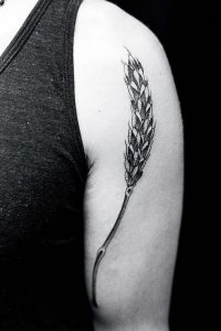 фото тату колос пшеницы от 27.12.2017 №001 - tattoos ear of wheat - tattoo-photo.ru