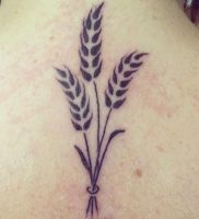 фото тату колос пшеницы от 27.12.2017 №004 — tattoos ear of wheat — tattoo-photo.ru