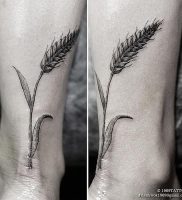 фото тату колос пшеницы от 27.12.2017 №011 — tattoos ear of wheat — tattoo-photo.ru