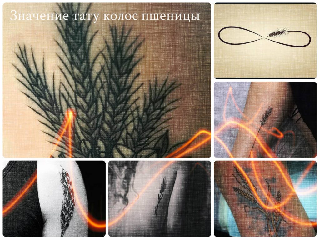 Значение тату колос пшеницы - фото примеры интересных готовых рисунков татуировки с колосом