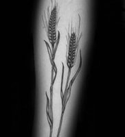 фото тату колос пшеницы от 27.12.2017 №003 — tattoos ear of wheat — tattoo-photo.ru
