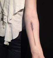 фото тату колос пшеницы от 27.12.2017 №007 — tattoos ear of wheat — tattoo-photo.ru