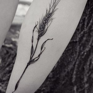 фото тату колос пшеницы от 27.12.2017 №010 - tattoos ear of wheat - tattoo-photo.ru