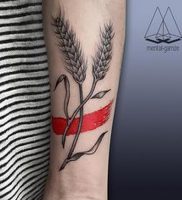 фото тату колос пшеницы от 27.12.2017 №013 — tattoos ear of wheat — tattoo-photo.ru
