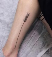 фото тату колос пшеницы от 27.12.2017 №016 — tattoos ear of wheat — tattoo-photo.ru