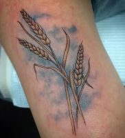 фото тату колос пшеницы от 27.12.2017 №017 — tattoos ear of wheat — tattoo-photo.ru