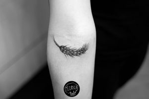 фото тату колос пшеницы от 27.12.2017 №036 - tattoos ear of wheat - tattoo-photo.ru