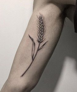 фото тату колос пшеницы от 27.12.2017 №043 - tattoos ear of wheat - tattoo-photo.ru