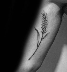 фото тату колос пшеницы от 27.12.2017 №065 - tattoos ear of wheat - tattoo-photo.ru