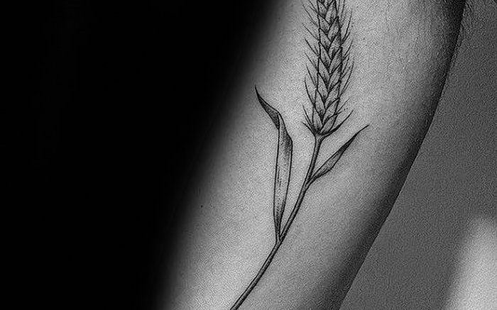фото тату колос пшеницы от 27.12.2017 №065 - tattoos ear of wheat - tattoo-photo.ru