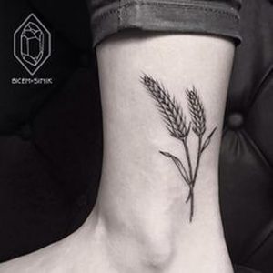 фото тату колос пшеницы от 27.12.2017 №070 - tattoos ear of wheat - tattoo-photo.ru