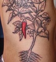 фото тату перец от 29.12.2017 №004 — pepper tattoos — tattoo-photo.ru
