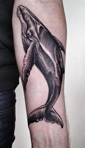 фото тату рыба кит от 07.12.2017 №020 - fish whale tattoo - tattoo-photo.ru