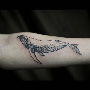 фото тату рыба кит от 07.12.2017 №059 - fish whale tattoo - tattoo-photo.ru
