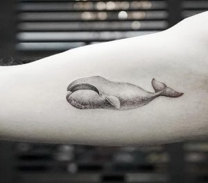 фото тату рыба кит от 07.12.2017 №072 - fish whale tattoo - tattoo-photo.ru