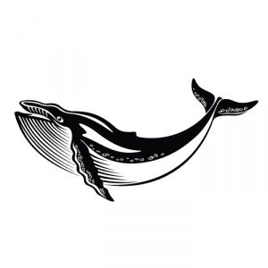 фото тату рыба кит от 07.12.2017 №084 - fish whale tattoo - tattoo-photo.ru