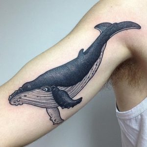 фото тату рыба кит от 07.12.2017 №103 - fish whale tattoo - tattoo-photo.ru