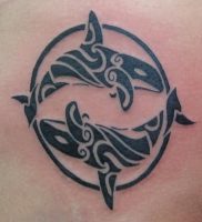 фото тату рыба кит от 07.12.2017 №142 — fish whale tattoo — tattoo-photo.ru