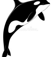 фото тату рыба кит от 07.12.2017 №143 — fish whale tattoo — tattoo-photo.ru