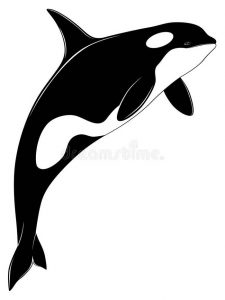 фото тату рыба кит от 07.12.2017 №143 - fish whale tattoo - tattoo-photo.ru