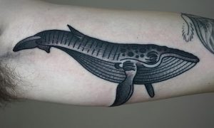 фото тату рыба кит от 07.12.2017 №174 - fish whale tattoo - tattoo-photo.ru