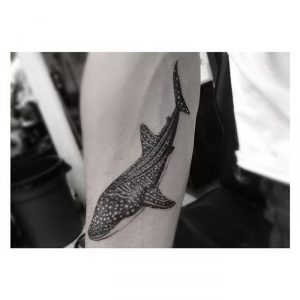 фото тату рыба кит от 07.12.2017 №175 - fish whale tattoo - tattoo-photo.ru