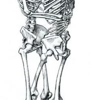 фото тату скелет от 28.12.2017 №018 — tattoo skeleton — tattoo-photo.ru