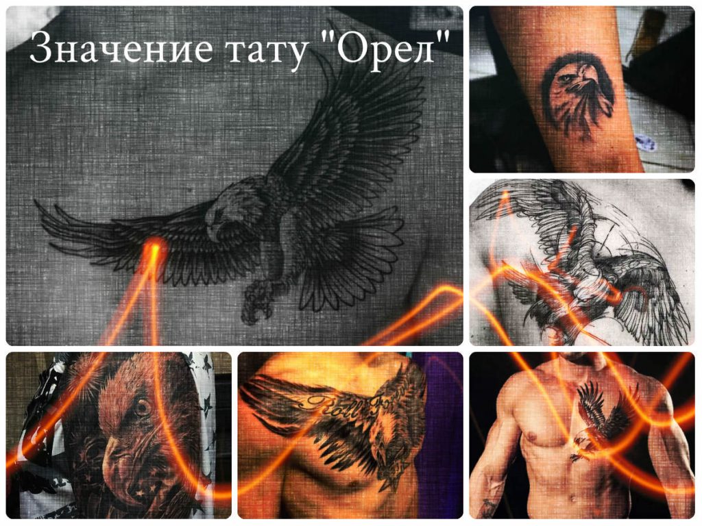 Значение тату Орел - коллекция фото готовых рисунков татуировки