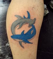 фото тату Акула молот от 23.01.2018 №003 — Tattoo Shark Hammer — tattoo-photo.ru
