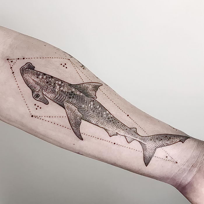 Эскиз акулы на руку