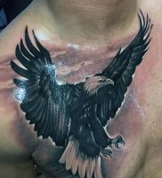 фото тату Орел от 10.03.2018 №111 — tattoo eagle — tattoo-photo.ru
