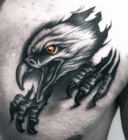 фото тату Орел от 10.03.2018 №112 — tattoo eagle — tattoo-photo.ru