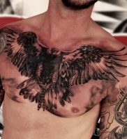 фото тату Орел от 10.03.2018 №119 — tattoo eagle — tattoo-photo.ru