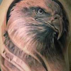 фото тату Орел от 10.03.2018 №123 - tattoo eagle - tattoo-photo.ru
