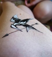фото тату Сойка Пересмешница от 03.01.2018 №125 — Tattoo MOCKINGJAY — tattoo-photo.ru
