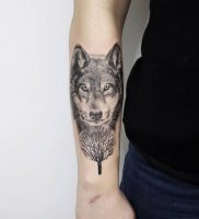 фото тату волк от 12.03.2018 №001 — tattoo wolf — tattoo-photo.ru