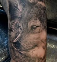 фото тату волк от 12.03.2018 №005 — tattoo wolf — tattoo-photo.ru