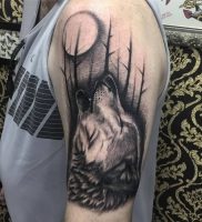 фото тату волк от 12.03.2018 №012 — tattoo wolf — tattoo-photo.ru