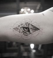 фото тату гепард от 22.01.2018 №004 — tattoo cheetah — tattoo-photo.ru