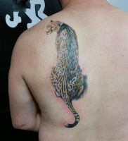 фото тату гепард от 22.01.2018 №012 — tattoo cheetah — tattoo-photo.ru
