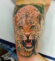 фото тату гепард от 22.01.2018 №018 — tattoo cheetah — tattoo-photo.ru